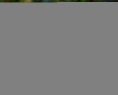 Thickened Double-Layer PVC Pet Raincoat